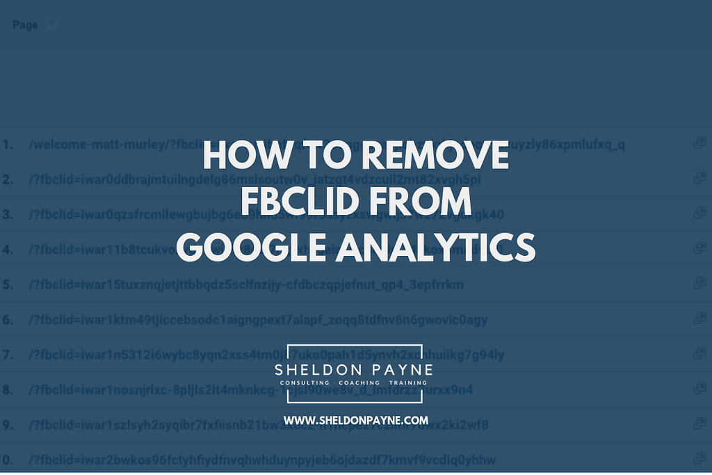 How to Remove FBCLID From Google Analytics - Sheldon Payne