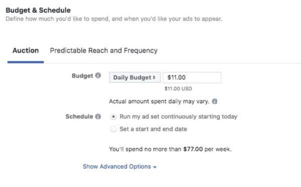 Facebook Ad Budget Setting